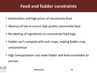 Dairy value chains in Pakistan: Stakeholders’ involvement and constraints analysis