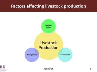 Dairy value chains in Pakistan: Stakeholders’ involvement and constraints analysis