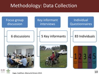 Influence of innovation platforms on information sharing and nurturing of smaller innovation platforms: A case study of the Tanzania Dairy Development Forum