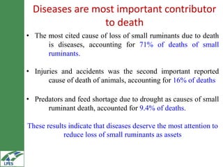 Household market participation behaviour in small ruminants in the Highlands of Ethiopia: The role of herd size, herd structure and institutional and infrastructural services