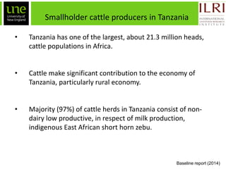 Ex-ante impact assessment in improving the dairy value chain in Tanzania: A system dynamics approach