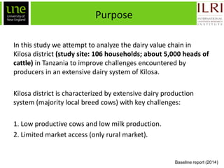 Ex-ante impact assessment in improving the dairy value chain in Tanzania: A system dynamics approach