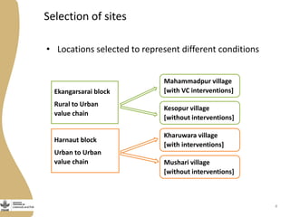 Issues in the development of dairy value chains in rural India