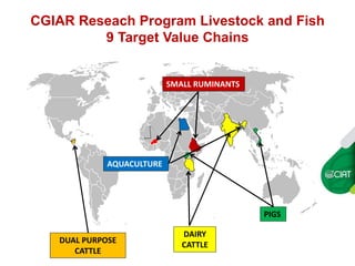 Carbon insetting in the dual purpose cattle value chain in Nicaragua
