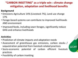 Carbon insetting in the dual purpose cattle value chain in Nicaragua