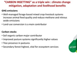 Carbon insetting in the dual purpose cattle value chain in Nicaragua