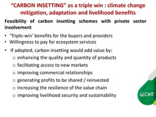 Carbon insetting in the dual purpose cattle value chain in Nicaragua