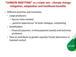 Carbon insetting in the dual purpose cattle value chain in Nicaragua