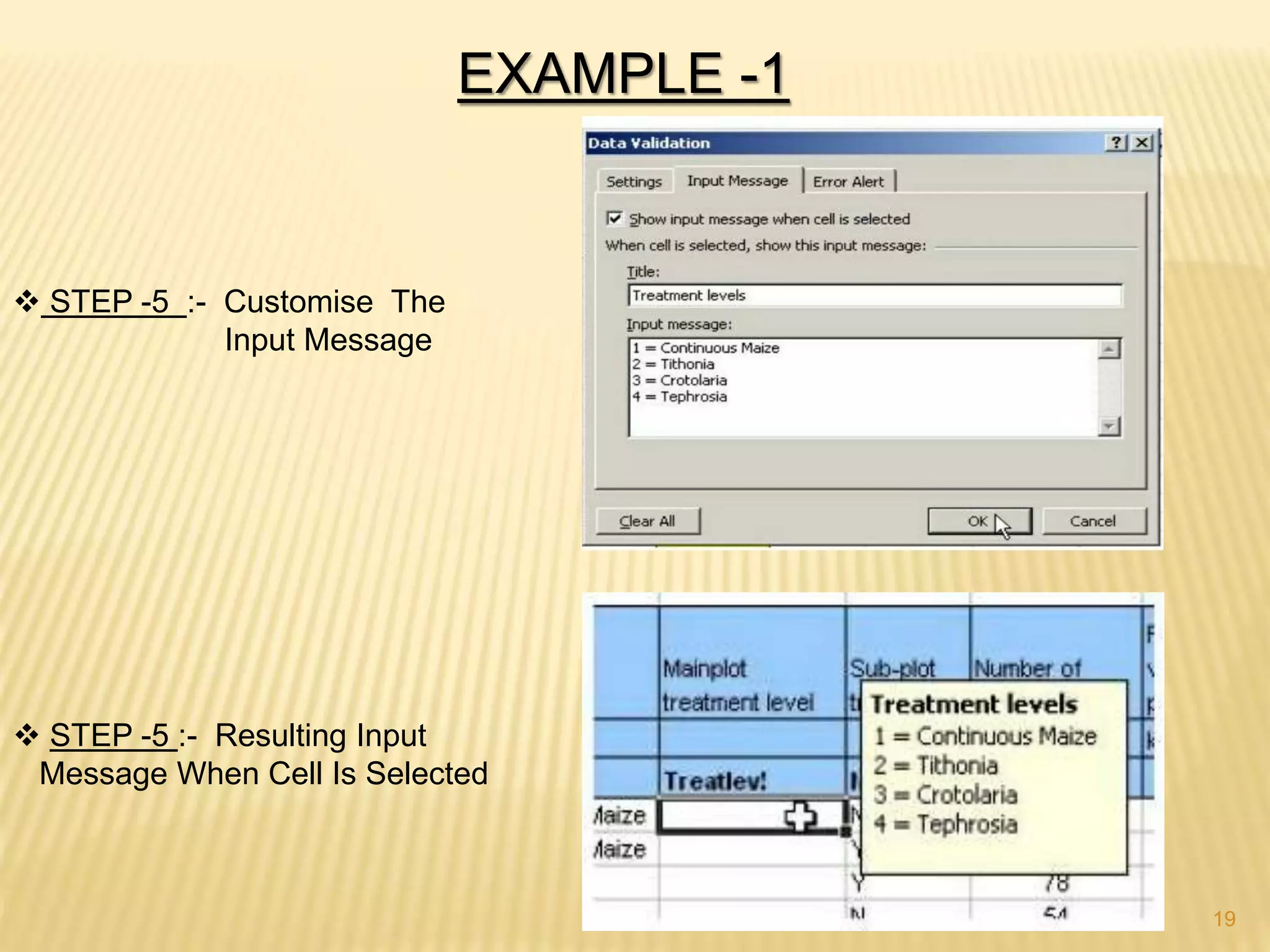 EXAMPLE -1
 STEP -5 :- Customise The
Input Message
 STEP -5 :- Resulting Input
Message When Cell Is Selected
19
 
