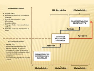 Procedimiento Ordinario
                                                                120 días hábiles         120 días hábiles
• Mayores a 3 UIT
• Reclamos por productos o sustancias
  peligrosas
• Actos de discriminación o trato
  diferenciado                                                                         SALA DE DEFENSA DE LA
• Servicios médicos                                                                      COMPETENCIA Nº 2
• Actos que afecten intereses colectivos
  o difusos
• Productos o servicios inapreciables en                                           Revisión
  dinero


                                                                    COMISIÓN DE
                                                                                               Apelación
                                                                   PROTECCIÓN AL
                                                                    CONSUMIDOR
       Procedimiento Sumarísmo

 • Menores 3 UIT
 • Requerimientos de información                         Apelación
 • Métodos abusivos de cobranza
 • Demora en la entrega del producto
 • Incumplimiento de medida correctiva
 • Incumplimiento de acuerdo                ORGANO RESOLUTIVO
   conciliatorio                            DE PROCEDIMIENTOS
 • Incumplimiento y liquidación de costas      SUMARÍSIMOS
   y costos




                                            30 días hábiles       30 días hábiles         30 días hábiles      58
 