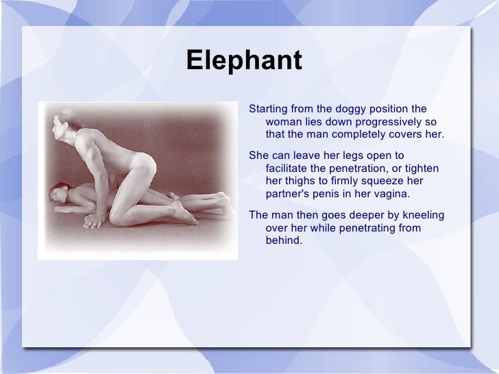 Elephant Fucking Picture Woman