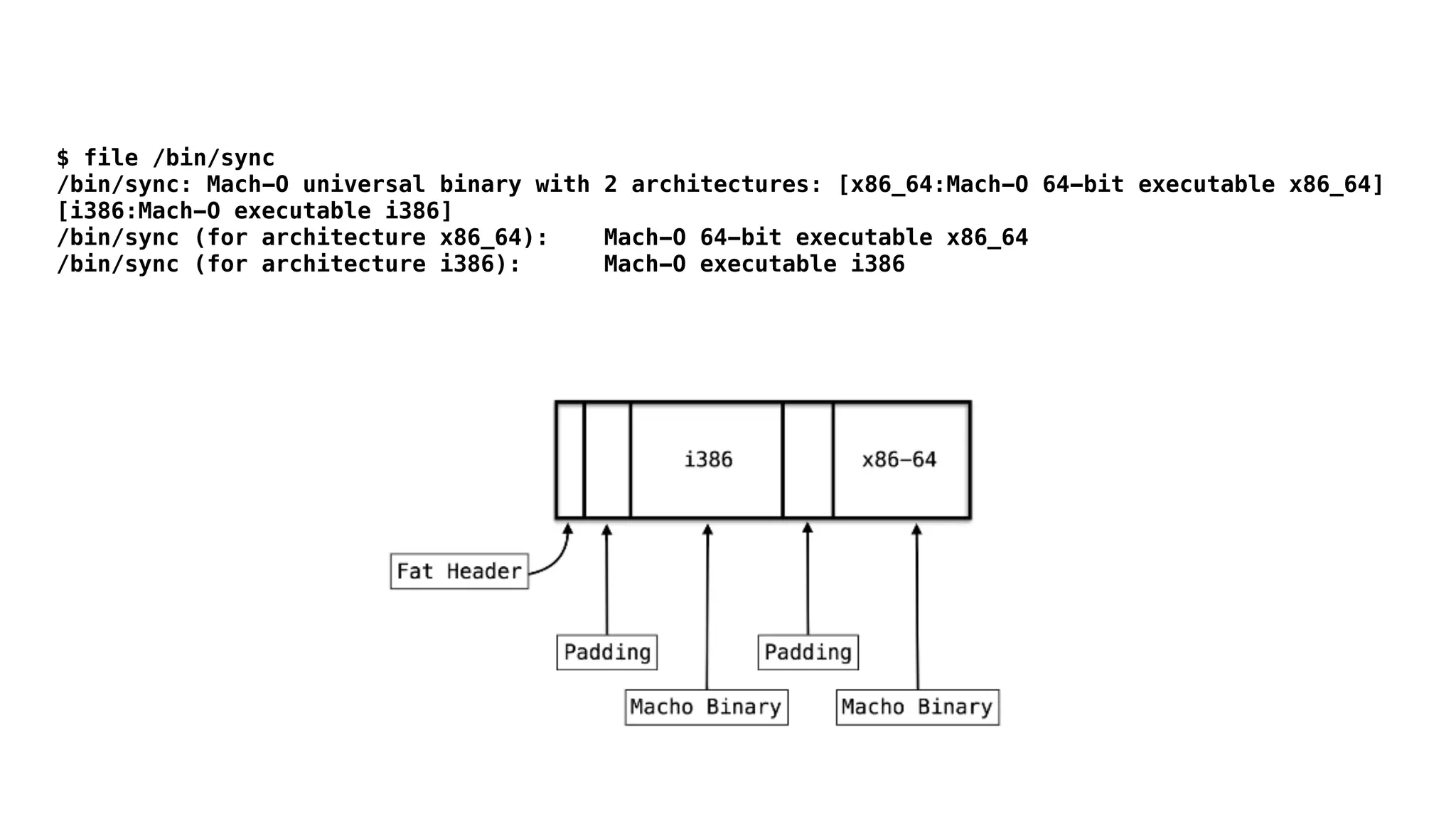 $ file /bin/sync
/bin/sync: Mach-O universal binary with 2 architectures: [x86_64:Mach-O 64-bit executable x86_64]
[i386:Mach-O executable i386]
/bin/sync (for architecture x86_64): Mach-O 64-bit executable x86_64
/bin/sync (for architecture i386): Mach-O executable i386
 