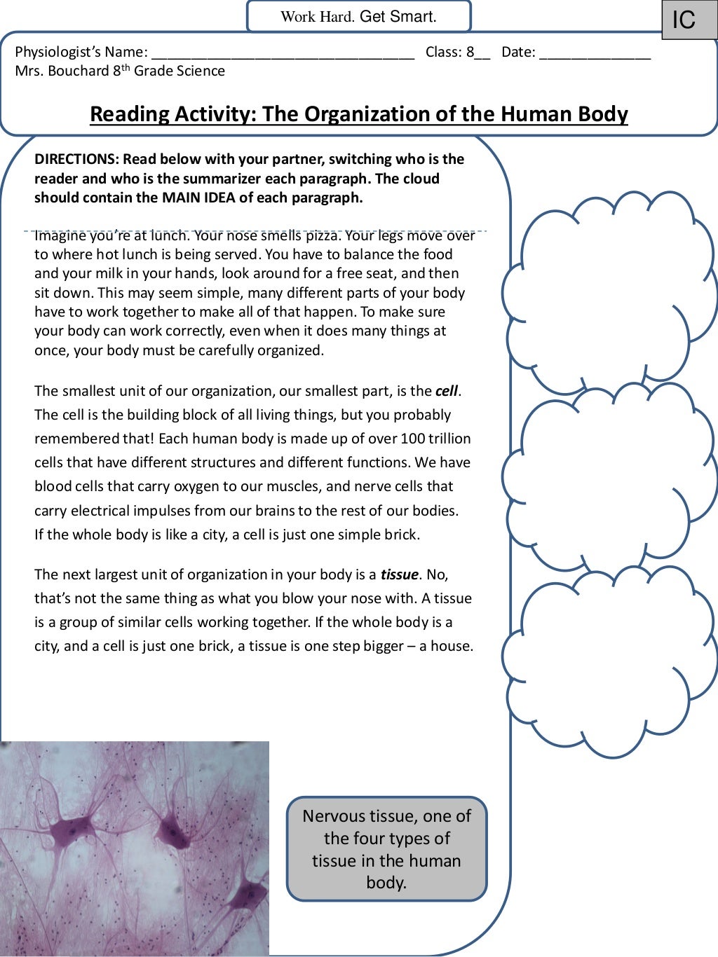 Levels of Organization