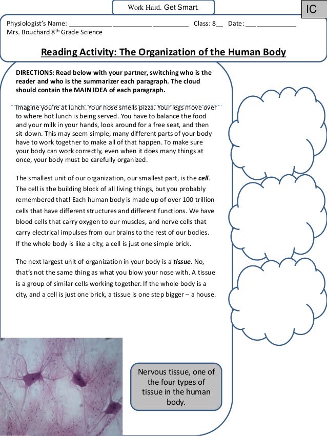 Levels of Organization