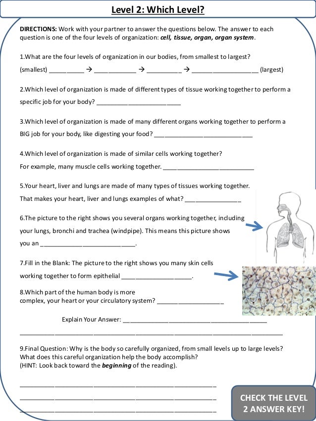 Levels of Organization