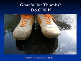 Grateful for Thumbs?  D&C 78:19 Photo Credit: Tazmany on Flickr  