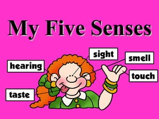 My Five SensesMy Five Senses
 