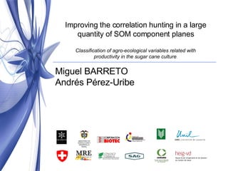 Improving the correlation hunting in a large quantity of SOM component planes Classification of agro-ecological variables related with productivity in the sugar cane culture . Miguel BARRETO Andrés Pérez-Uribe MINISTERIO DE AGRICULTURA Y DESARROLLO RURAL asocaña 