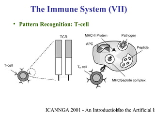 ICANNGA 2001 - An Introduction to the Artificial Im10
• Pattern Recognition: T-cell
The Immune System (VII)
 