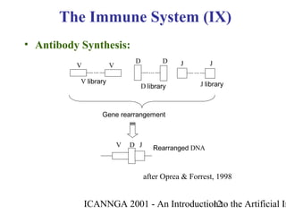 ICANNGA 2001 - An Introduction to the Artificial Im12
• Antibody Synthesis:
The Immune System (IX)
... ... ...
V V
V library
D D
D library
J J
J library
Gene rearrangement
V D J Rearranged DNA
after Oprea & Forrest, 1998
 