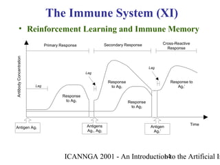 ICANNGA 2001 - An Introduction to the Artificial Im14
• Reinforcement Learning and Immune Memory
The Immune System (XI)
Antigen Ag1
Antigens
Ag1, Ag2
Primary Response Secondary Response
Lag
Response
to Ag1
AntibodyConcentration
Time
Lag
Response
to Ag2
Response
to Ag1
...
...
Cross-Reactive
Response
...
...
Antigen
Ag1’
Response to
Ag1’
Lag
 