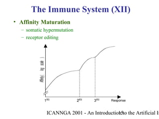 ICANNGA 2001 - An Introduction to the Artificial Im15
• Affinity Maturation
– somatic hypermutation
– receptor editing
The Immune System (XII)
 