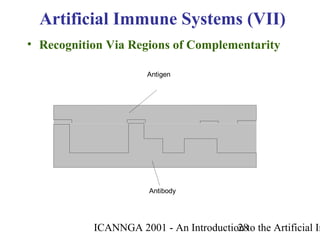 ICANNGA 2001 - An Introduction to the Artificial Im28
• Recognition Via Regions of Complementarity
Antibody
Antigen
Artificial Immune Systems (VII)
 