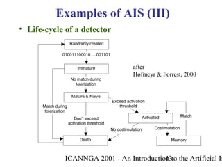 ICANNGA 2001 - An Introduction to the Artificial Im43
• Life-cycle of a detector
Examples of AIS (III)
Randomly created
Immature
Mature & Naive
Death
Activated
Memory
No match during
tolerization
010011100010.....001101
Exceed activation
threshold
Don’t exceed
activation threshold
No costimulation Costimulation
tolerization
Match
Match during
tolerization
after
Hofmeyr & Forrest, 2000
 