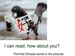 I can read, how about you? Find the Chinese words in the pictures. 