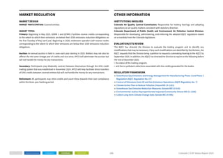 Icap Example Report ICAP ETS Status Report 2025 worlds .pdf