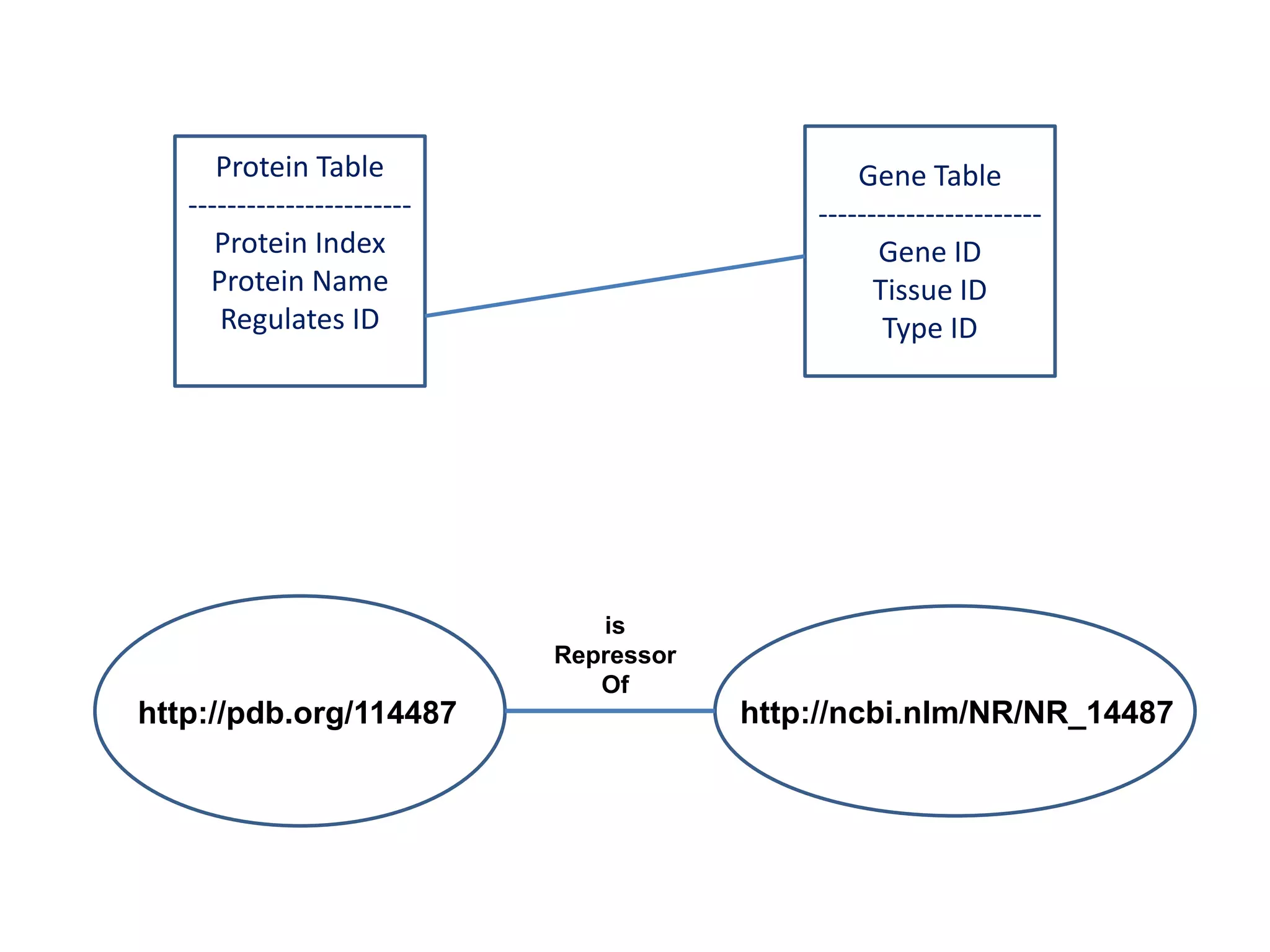 Gene Table-----------------------Gene IDTissue IDType IDProtein Table-----------------------Protein IndexProtein NameRegulates IDisRepressorOfhttp://ncbi.nlm/NR/NR_14487http://pdb.org/114487