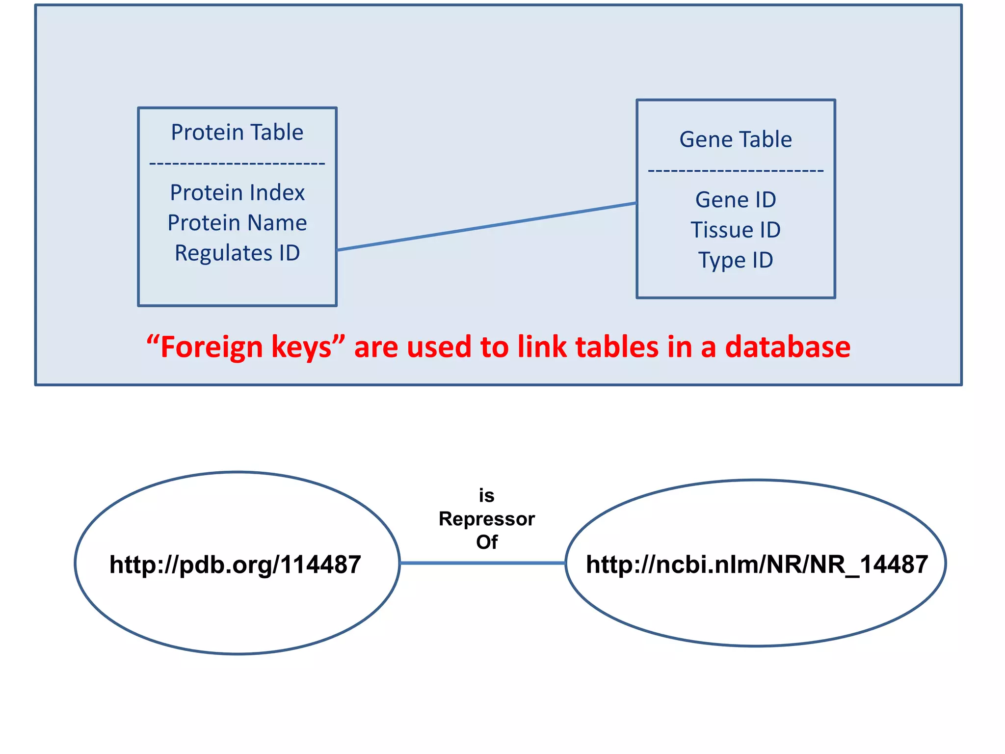 “Foreign keys” are used to link tables in a databaseGene Table-----------------------Gene IDTissue IDType IDProtein Table-----------------------Protein IndexProtein NameRegulates IDisRepressorOfhttp://ncbi.nlm/NR/NR_14487http://pdb.org/114487