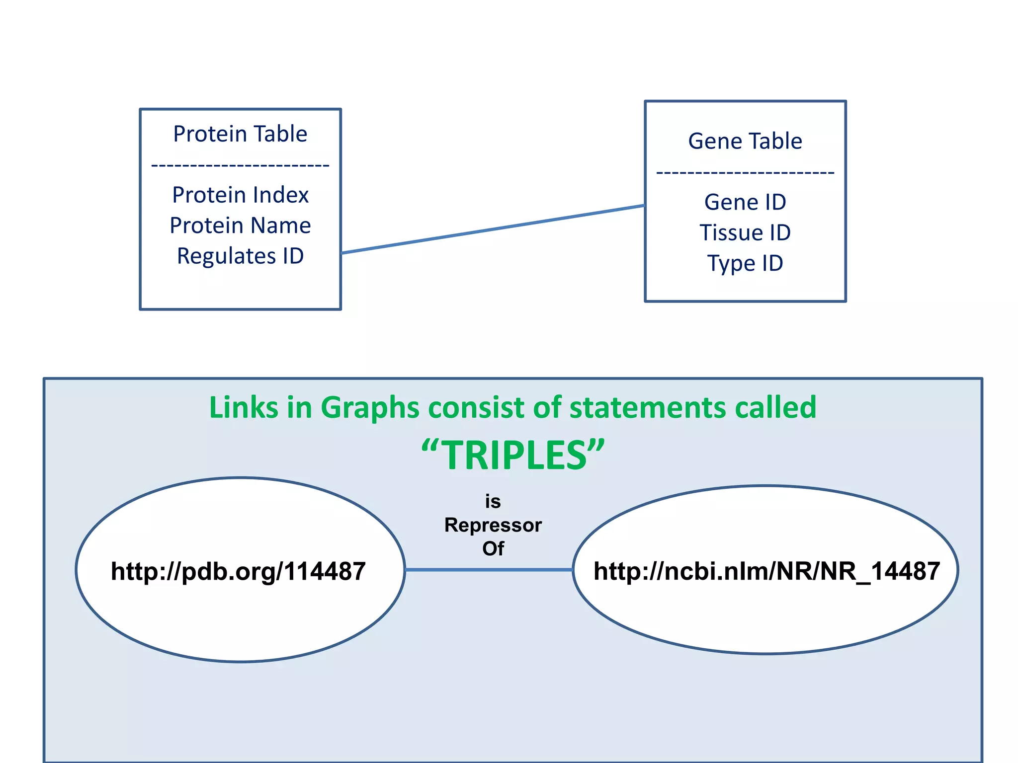 Gene Table-----------------------Gene IDTissue IDType IDProtein Table-----------------------Protein IndexProtein NameRegulates IDLinks in Graphs consist of statements called“TRIPLES”   isRepressorOfhttp://ncbi.nlm/NR/NR_14487http://pdb.org/114487
