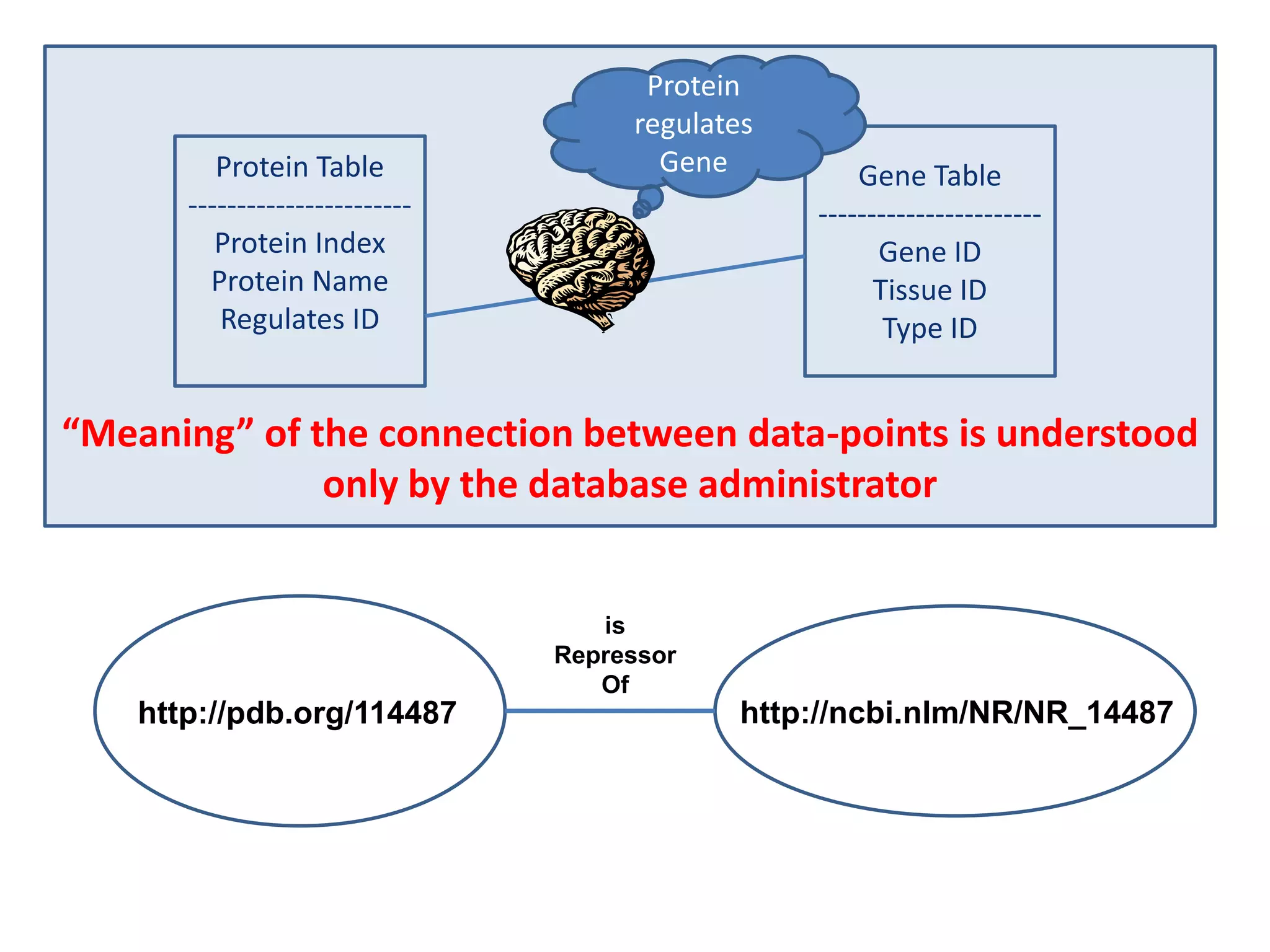 “Meaning” of the connection between data-points is understood only by the database administratorProtein regulates GeneGene Table-----------------------Gene IDTissue IDType IDProtein Table-----------------------Protein IndexProtein NameRegulates IDisRepressorOfhttp://ncbi.nlm/NR/NR_14487http://pdb.org/114487
