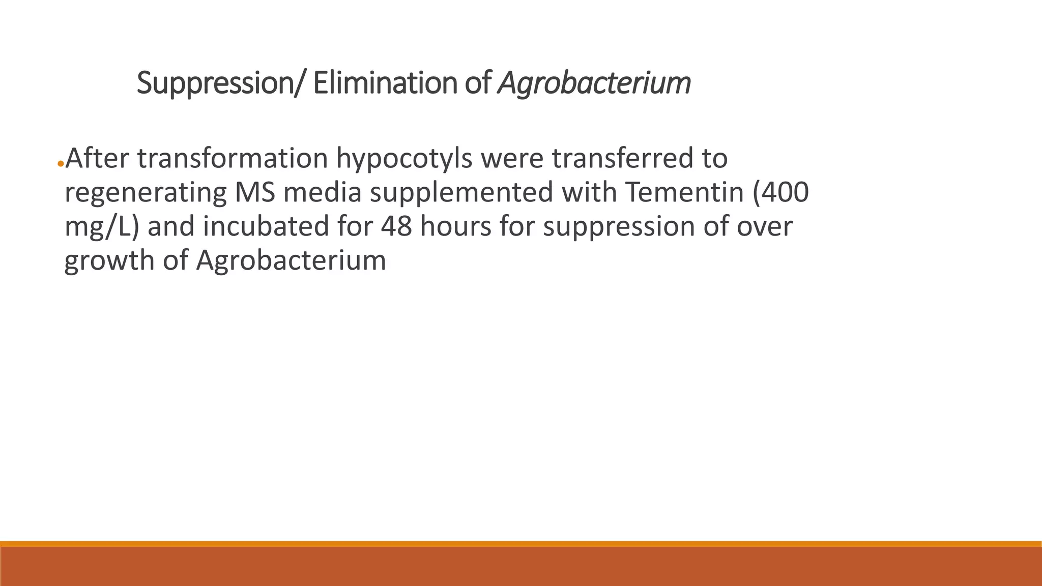 Suppression/ Elimination of Agrobacterium
●After transformation hypocotyls were transferred to
regenerating MS media supplemented with Tementin (400
mg/L) and incubated for 48 hours for suppression of over
growth of Agrobacterium
 
