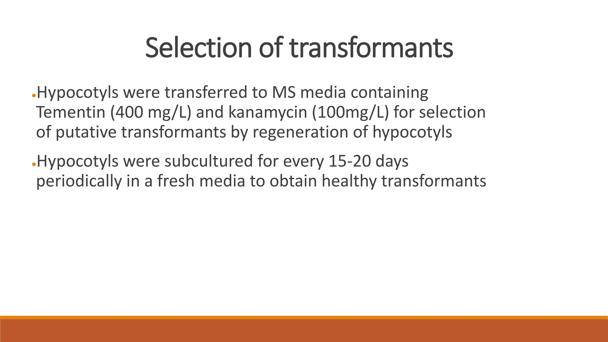Selection of transformants
●Hypocotyls were transferred to MS media containing
Tementin (400 mg/L) and kanamycin (100mg/L) for selection
of putative transformants by regeneration of hypocotyls
●Hypocotyls were subcultured for every 15-20 days
periodically in a fresh media to obtain healthy transformants
 