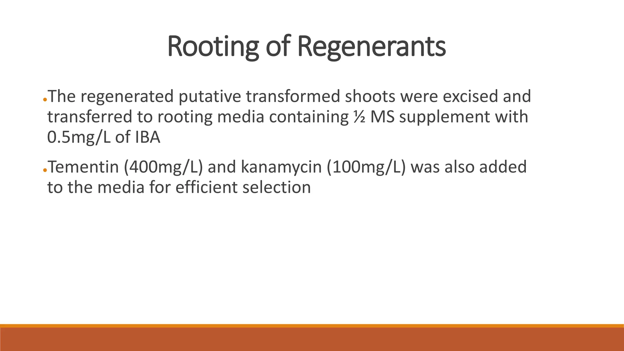 Rooting of Regenerants
●The regenerated putative transformed shoots were excised and
transferred to rooting media containing ½ MS supplement with
0.5mg/L of IBA
●Tementin (400mg/L) and kanamycin (100mg/L) was also added
to the media for efficient selection
 