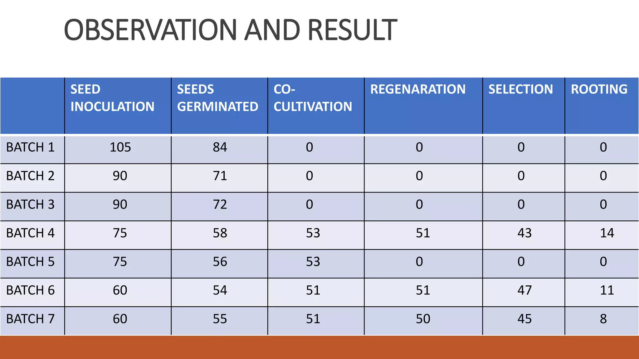 OBSERVATION AND RESULT
SEED
INOCULATION
SEEDS
GERMINATED
CO-
CULTIVATION
REGENARATION SELECTION ROOTING
BATCH 1 105 84 0 0 0 0
BATCH 2 90 71 0 0 0 0
BATCH 3 90 72 0 0 0 0
BATCH 4 75 58 53 51 43 14
BATCH 5 75 56 53 0 0 0
BATCH 6 60 54 51 51 47 11
BATCH 7 60 55 51 50 45 8
 