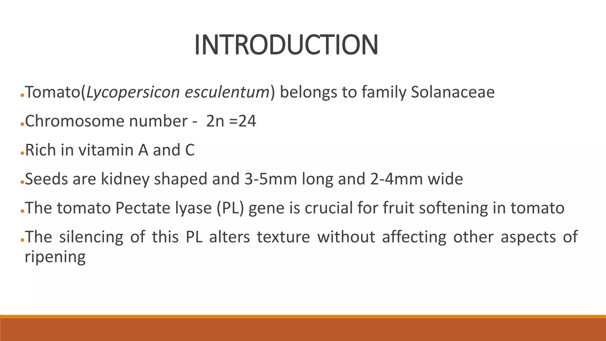 INTRODUCTION
●Tomato(Lycopersicon esculentum) belongs to family Solanaceae
●Chromosome number - 2n =24
●Rich in vitamin A and C
●Seeds are kidney shaped and 3-5mm long and 2-4mm wide
●The tomato Pectate lyase (PL) gene is crucial for fruit softening in tomato
●The silencing of this PL alters texture without affecting other aspects of
ripening
 