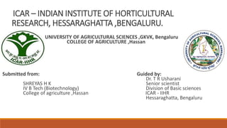 ICAR – INDIAN INSTITUTE OF HORTICULTURAL
RESEARCH, HESSARAGHATTA ,BENGALURU.
N
UNIVERSITY OF AGRICULTURAL SCIENCES ,GKVK, Bengaluru
COLLEGE OF AGRICULTURE ,Hassan
Submitted from: Guided by:
Dr. T R Usharani
SHREYAS H K Senior scientist
IV B Tech (Biotechnology) Division of Basic sciences
College of agriculture ,Hassan ICAR - IIHR
Hessaraghatta, Bengaluru
 