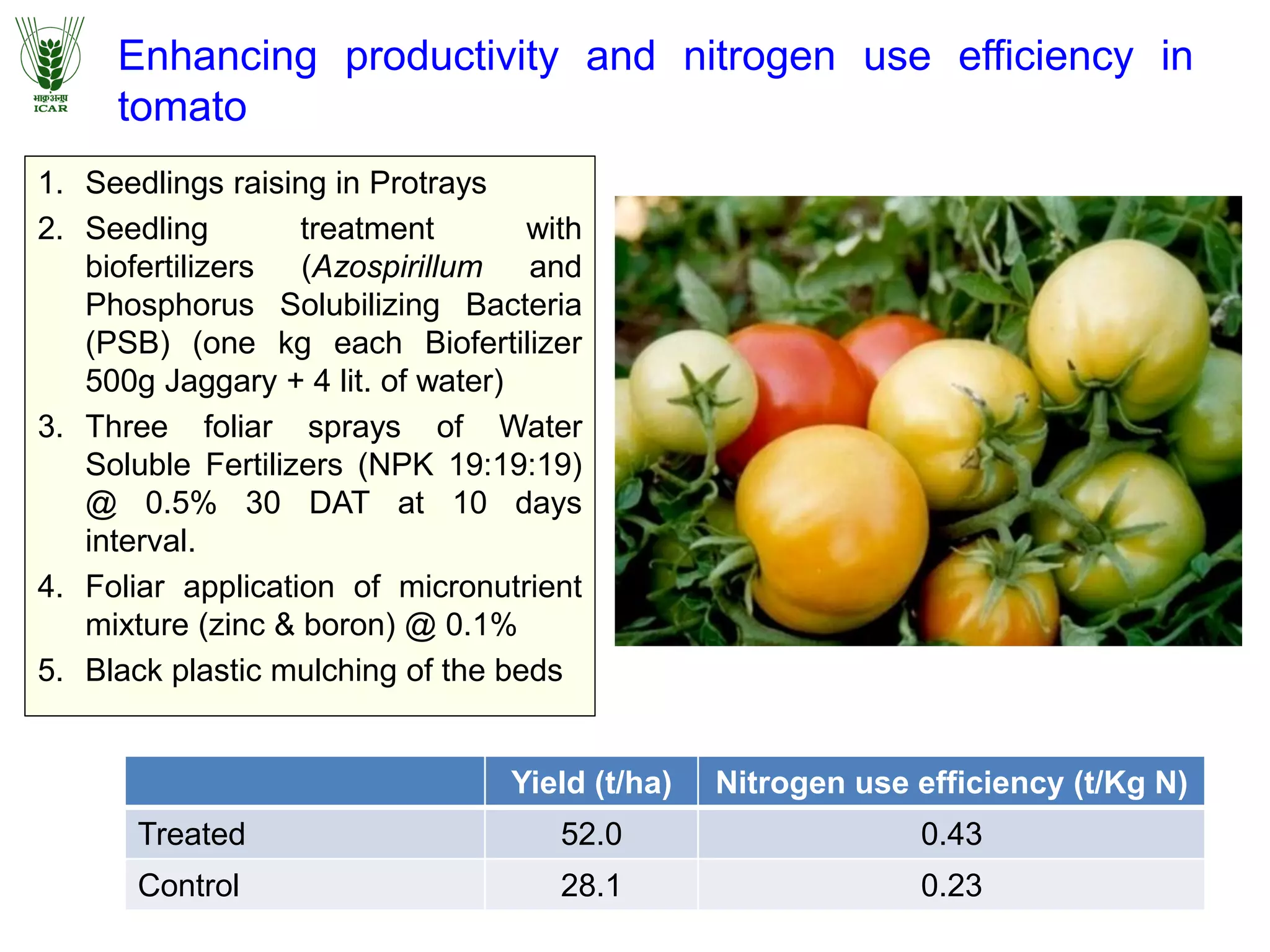 Enhancing productivity and nitrogen use efficiency in
tomato
1. Seedlings raising in Protrays
2. Seedling treatment with
biofertilizers (Azospirillum and
Phosphorus Solubilizing Bacteria
(PSB) (one kg each Biofertilizer
500g Jaggary + 4 lit. of water)
3. Three foliar sprays of Water
Soluble Fertilizers (NPK 19:19:19)
@ 0.5% 30 DAT at 10 days
interval.
4. Foliar application of micronutrient
mixture (zinc & boron) @ 0.1%
5. Black plastic mulching of the beds
Yield (t/ha) Nitrogen use efficiency (t/Kg N)
Treated 52.0 0.43
Control 28.1 0.23
 