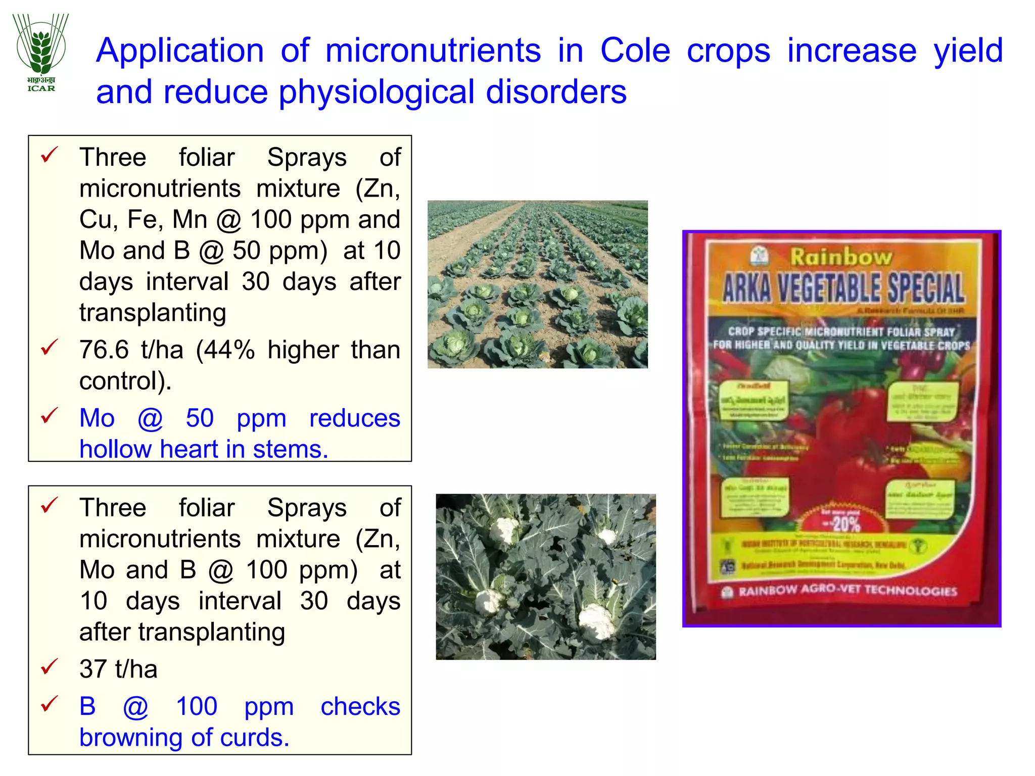 Application of micronutrients in Cole crops increase yield
and reduce physiological disorders
 Three foliar Sprays of
micronutrients mixture (Zn,
Cu, Fe, Mn @ 100 ppm and
Mo and B @ 50 ppm) at 10
days interval 30 days after
transplanting
 76.6 t/ha (44% higher than
control).
 Mo @ 50 ppm reduces
hollow heart in stems.
 Three foliar Sprays of
micronutrients mixture (Zn,
Mo and B @ 100 ppm) at
10 days interval 30 days
after transplanting
 37 t/ha
 B @ 100 ppm checks
browning of curds.
 