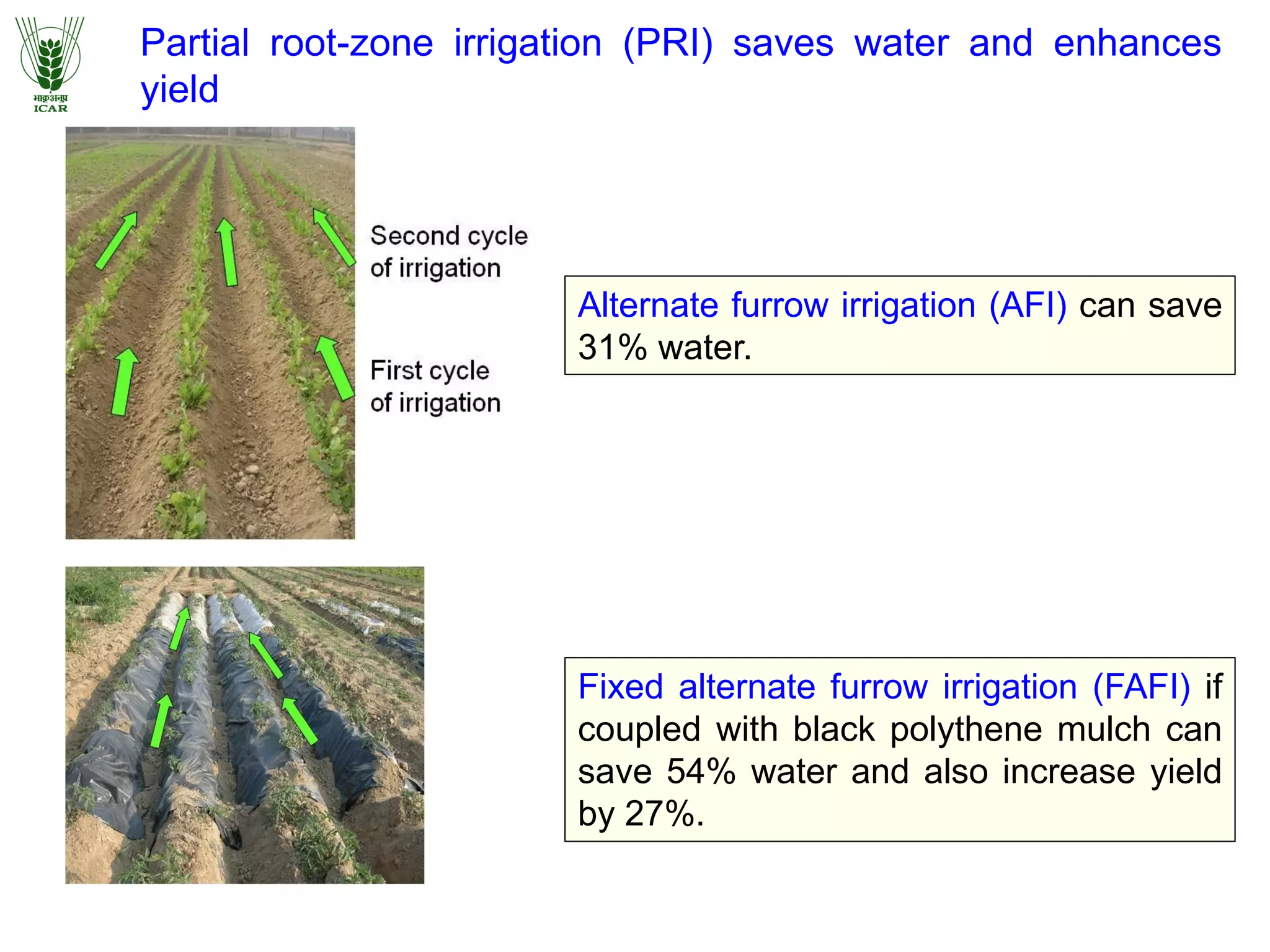 Partial root-zone irrigation (PRI) saves water and enhances
yield
Alternate furrow irrigation (AFI) can save
31% water.
Fixed alternate furrow irrigation (FAFI) if
coupled with black polythene mulch can
save 54% water and also increase yield
by 27%.
 