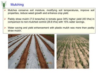Mulching
 Mulches conserve soil moisture, modifying soil temperatures, improve soil
properties, reduce weed growth and enhance crop yield.
 Paddy straw mulch (7.5 tones/ha) in tomato gave 34% higher yield (40 t/ha) in
comparison to non-mulched control (29.8 t/ha) with 15% water savings.
 Water saving and yield enhancement with plastic mulch was more than paddy
straw mulch.
 