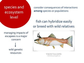 Fish Inbreeding Selective breeding in fish and conservation of genetic resources for ...
