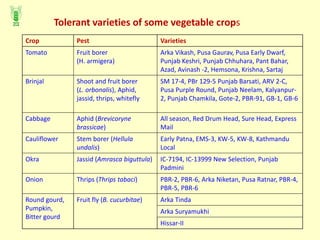 Crop Pest Varieties
Tomato Fruit borer
(H. armigera)
Arka Vikash, Pusa Gaurav, Pusa Early Dwarf,
Punjab Keshri, Punjab Chhuhara, Pant Bahar,
Azad, Avinash -2, Hemsona, Krishna, Sartaj
Brinjal Shoot and fruit borer
(L. orbonalis), Aphid,
jassid, thrips, whitefly
SM 17-4, PBr 129-5 Punjab Barsati, ARV 2-C,
Pusa Purple Round, Punjab Neelam, Kalyanpur-
2, Punjab Chamkila, Gote-2, PBR-91, GB-1, GB-6
Cabbage Aphid (Brevicoryne
brassicae)
All season, Red Drum Head, Sure Head, Express
Mail
Cauliflower Stem borer (Hellula
undalis)
Early Patna, EMS-3, KW-5, KW-8, Kathmandu
Local
Okra Jassid (Amrasca biguttula) IC-7194, IC-13999 New Selection, Punjab
Padmini
Onion Thrips (Thrips tabaci) PBR-2, PBR-6, Arka Niketan, Pusa Ratnar, PBR-4,
PBR-5, PBR-6
Round gourd,
Pumpkin,
Bitter gourd
Fruit fly (B. cucurbitae) Arka Tinda
Arka Suryamukhi
Hissar-II
Tolerant varieties of some vegetable crops
 