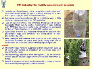  Installation of used water bottle baited with cue lure (as MAT)
saturated wood blocks (ethanol: cuelure: carbaryl in a ratio
8:1:2) @ 25 traps/ha prior to flower initiation.
 Bait spray containing malathion 20 ml + 20 litres water + 500g
molasses sprayed randomly on 250 plants/ha.
 Use of repellent (NSKE 4%) enhanced trapping and luring in
bait spots. Mean fruit fly catches much higher in traps installed
with MAT+BAT-Repellent plots (116.43/trap/week) compared
to that of (75.82/trap/week) in MAT+BAT treated plot
 Application of neem as a repellent increased the catch in para-
pheromone traps and enhanced the luring ability of para-
pheromone by 52%..
 Fine tuning of this module with addition of NSKE spray and
increased diameter of bottle trap (9cm) along with use of
dichlorovos 1% increased the adult trapping/killing in lure
Impact:
 This technology helps to suppress further population build-up
of insect with almost no probability of insecticide residue in
and or/on the fruits.
 This technology decreases fruit damage by 71.1% in cucurbits.
Overall cost of pesticide application is decreased more than 10
times.
 Benefit is in terms of pesticide free cucurbits, safety to human
health and improving quality of environment.
IPM technology for Fruit fly management in Cucurbits
 