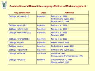 Combination of different intercropping effective in DBM management
Crop combination Effect Reference
Cabbage + tomato (1:1) Repellent Talekar et al., 1986
Timbreilla and Nyako, 2001
Facknath et al., 1999
Cabbage + garlic (1:1) Repellent Talekar et al., 1986
Cabbage + clover (1:1) Repellent Talekar et al., 1986
Cabbage + coriander (1:1) Repellent Talekar et al., 1986
Facknath, 1996
Cabbage + marigold (1:1) Repellent Talekar et al., 1986
Cabbage + lucern Repellent Meena and Lal, 2002
Cabbage + onion Repellent Timbreilla and Nyako, 2001
Cabbage + spearmint Repellent Timbreilla and Nyako, 2001
Cabbage + mustard Attractant Srinivasan, 1991
Srinivasan and Krishnamoorthy, 1991
Cabbage + mustard No effect Umashankar et al., 2007
Meena and Lal, 2002
 