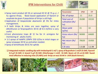 Spray neem product @ 5% or spinosad 45 SC @ 75 g a.i. /
ha against thrips. Need based application of fipronil or
acephate be given if population of thrips is still high.
Application of biopesticide abamectin @ 5% for mites
management.
 If both thrips & mites are seen together, spray of
difenthiuron or fenpropathrin 30 EC @ 0.5 ml/litre is very
useful.
Erect pheromone traps @ 5/ ha for H. armigera for
monitoring of adults moths
 1-2 sprays of HaNPV /SlNPV 250 LE/ha in initial stages or
spray rynaxypyr 20 SC as and when needed.
Spray of dimethoate 30 EC for aphids
IPM Interventions for Chilli
Parameter IPM FP
No. of sprays 11 25.0
Total cost of
cultivation (Rs/
ha)
26280 33150
Mean yield
(q/ha)
15 10
Gross return (Rs/
ha)
96900 64600
Net return (Rs/
ha)
70620 31450
C:B ratio 1:3.68 1:1.94
 Integrated module: seedling dip with Imidacloprid 1 ml/ l, spray of Buprofezin 1 ml/ll 25 DAT, Fipronil
0.2 g/l 35 DAT, V. lecanii 5 g/l 45 DAT, Chlorfenapyr 1 ml/li 55 DAT, Neem oil 1% at 65 DAT. found
most effective in reducing mite (75.48%) and thrips on was 59.44 in chilli (Kashi Anmol )
 