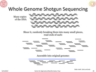 Whole Genome Shotgun Sequencing
6/15/2014 Centre for Agricultural Bioinformatics, Pusa 29
Slide credit: cbcb.umd.edu
 